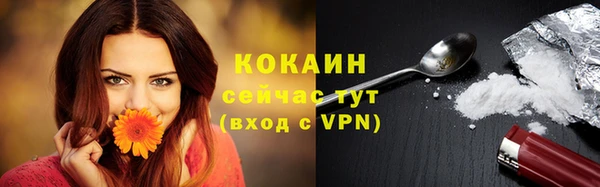 сатива Баксан