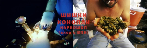 сатива Баксан