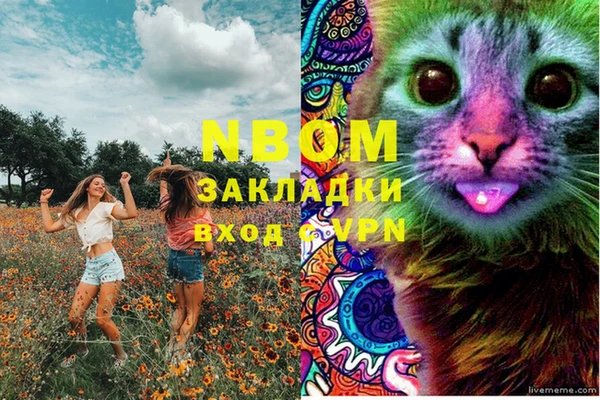 сатива Баксан