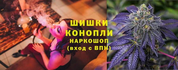 сатива Баксан