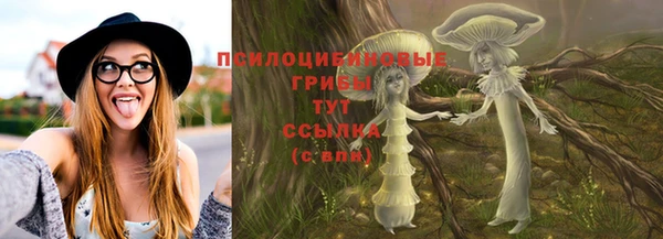 сатива Баксан