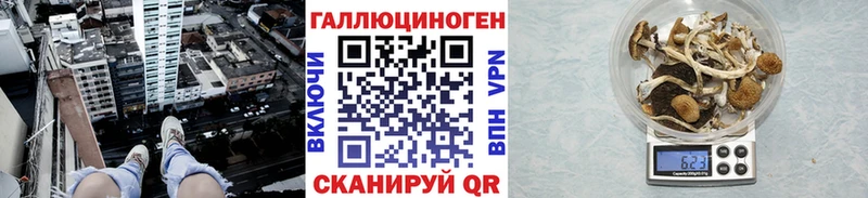 что такое наркотик Ленинск mega сайт Псилоцибиновые грибы Cubensis